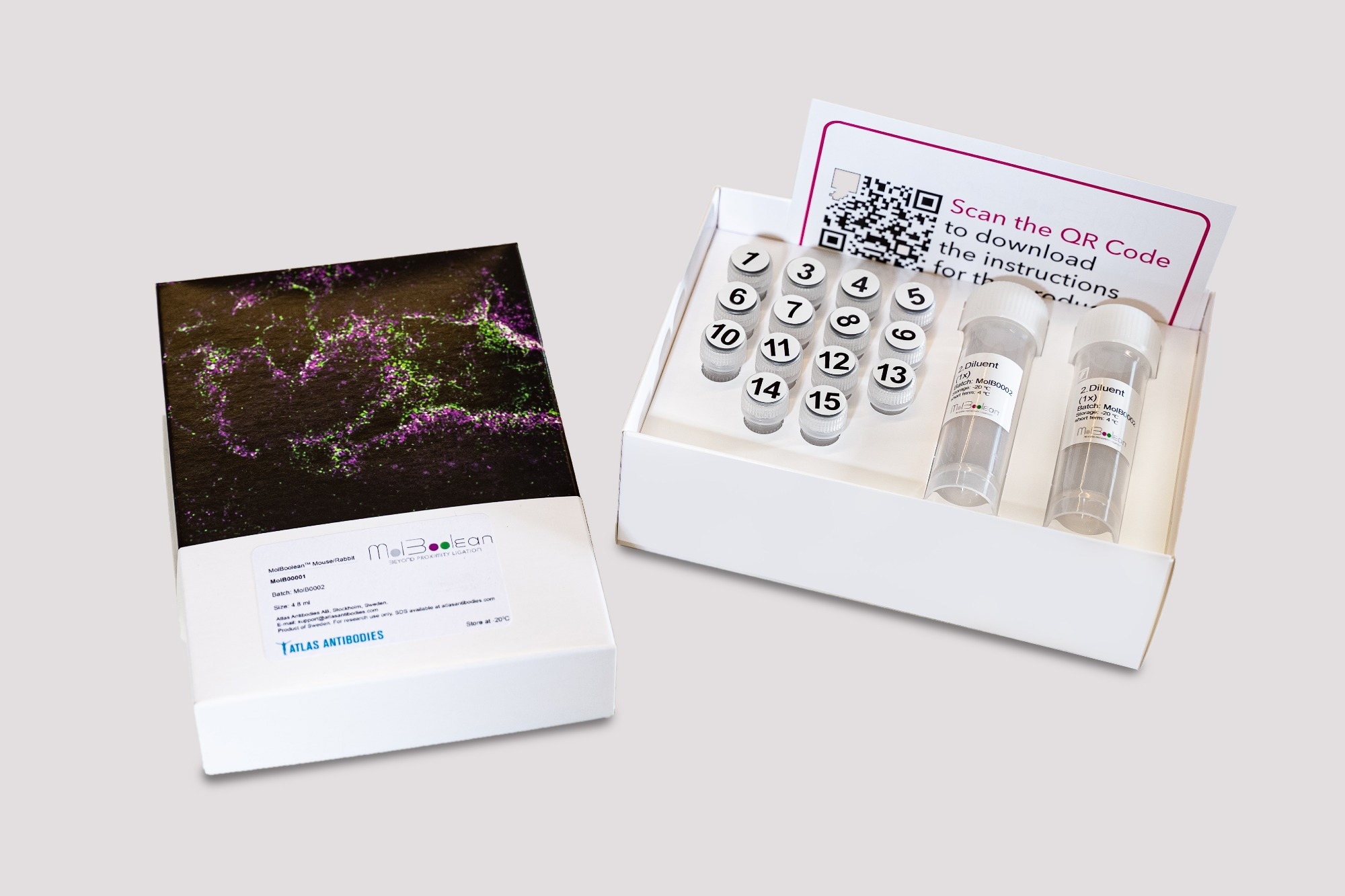 The MolBoolean Kit Box. Image Credit: Atlas Antibodies