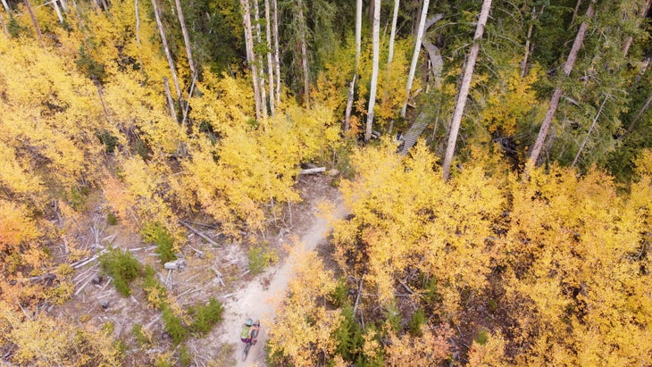 Mountain Biking in Winter Park, Colorado