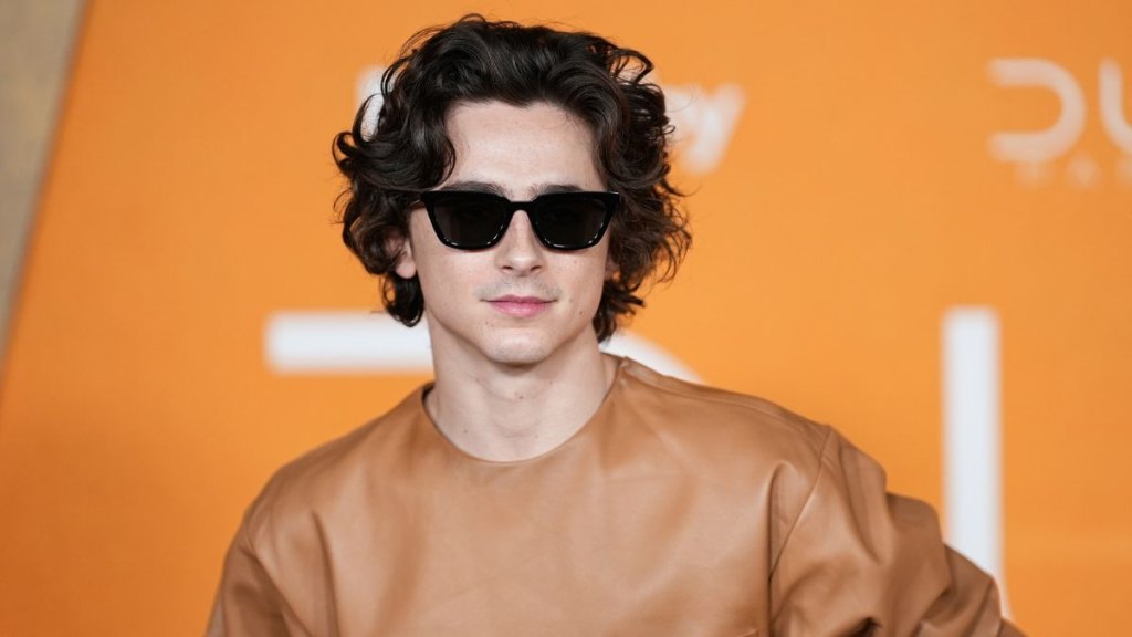 Timothée Chalamet in 2024