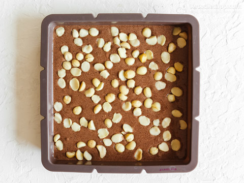 High-Protein Chocolate Macadamia Halva