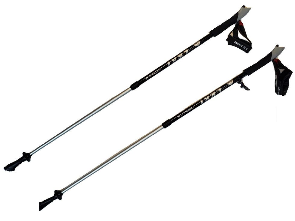 Nordic Walking Instructor Trekking Pole