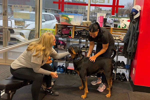 tara and jill pet gym dog milo before training