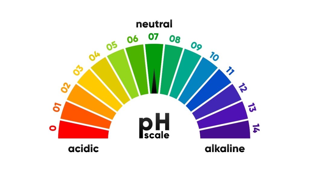 An illustration of the pH scale