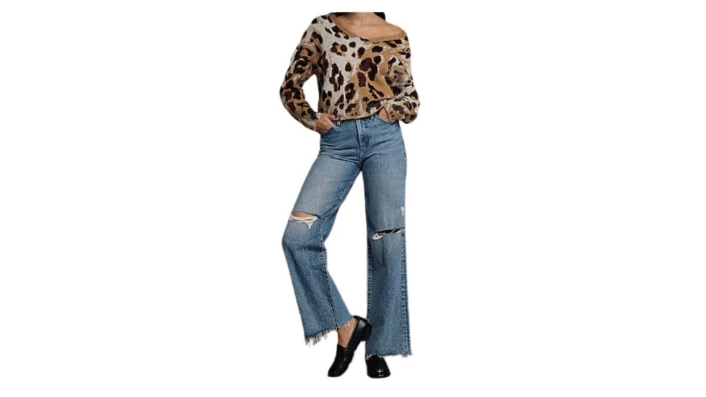 Express Leopard Print V-Neck Sweater