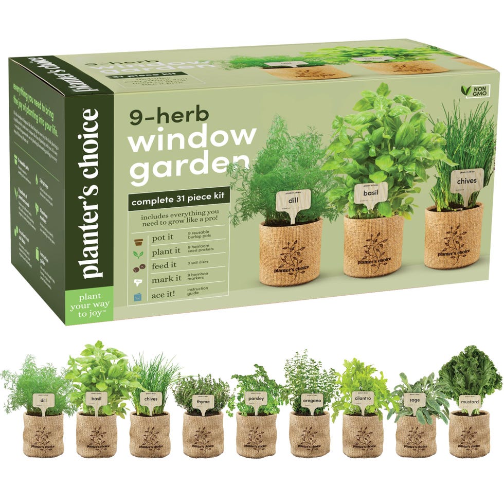 Window Herb Garden