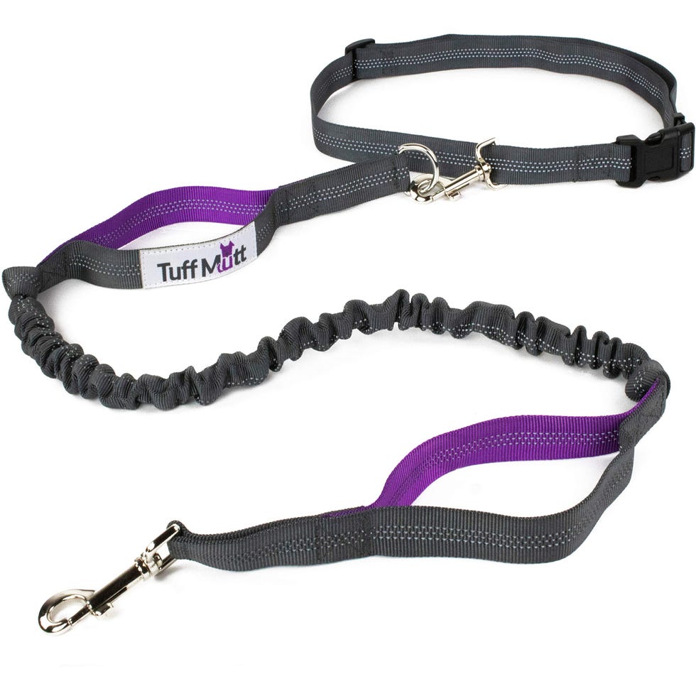 Hands Free Dog Leash