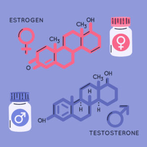 Estrogen Dominance Diet