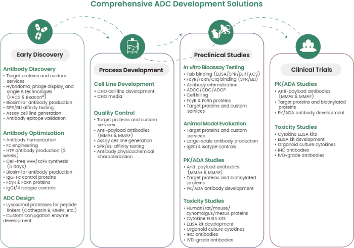 ADC development solutions at Sino Biological