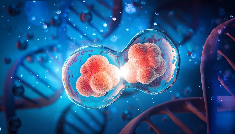 3D illustration of cell division