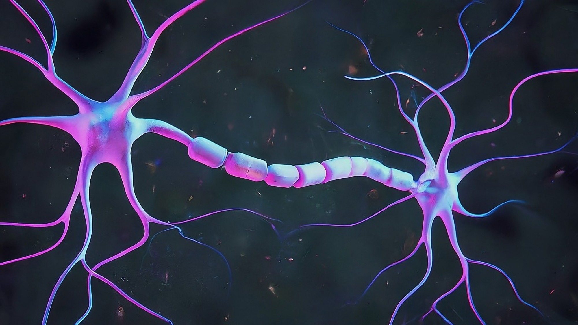 Study: β-hydroxybutyrate is a metabolic regulator of proteostasis in the aged and Alzheimer disease brain. Image Credit: Shutterstock AI