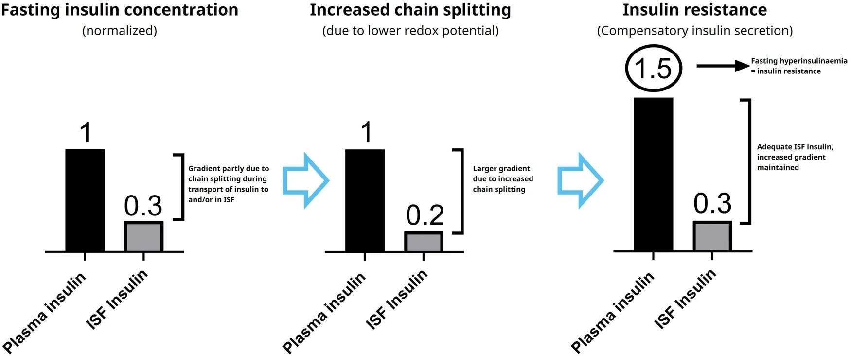 The left panel represents the insulin concentration gradient from published data18 in healthy individuals. The middle panel illustrates how increased chain splitting will result in a larger gradient according to our hypothesis, leading to compensatory insulin secretion, plasma hyperinsulinaemia and thus insulin resistance as shown in the right panel.