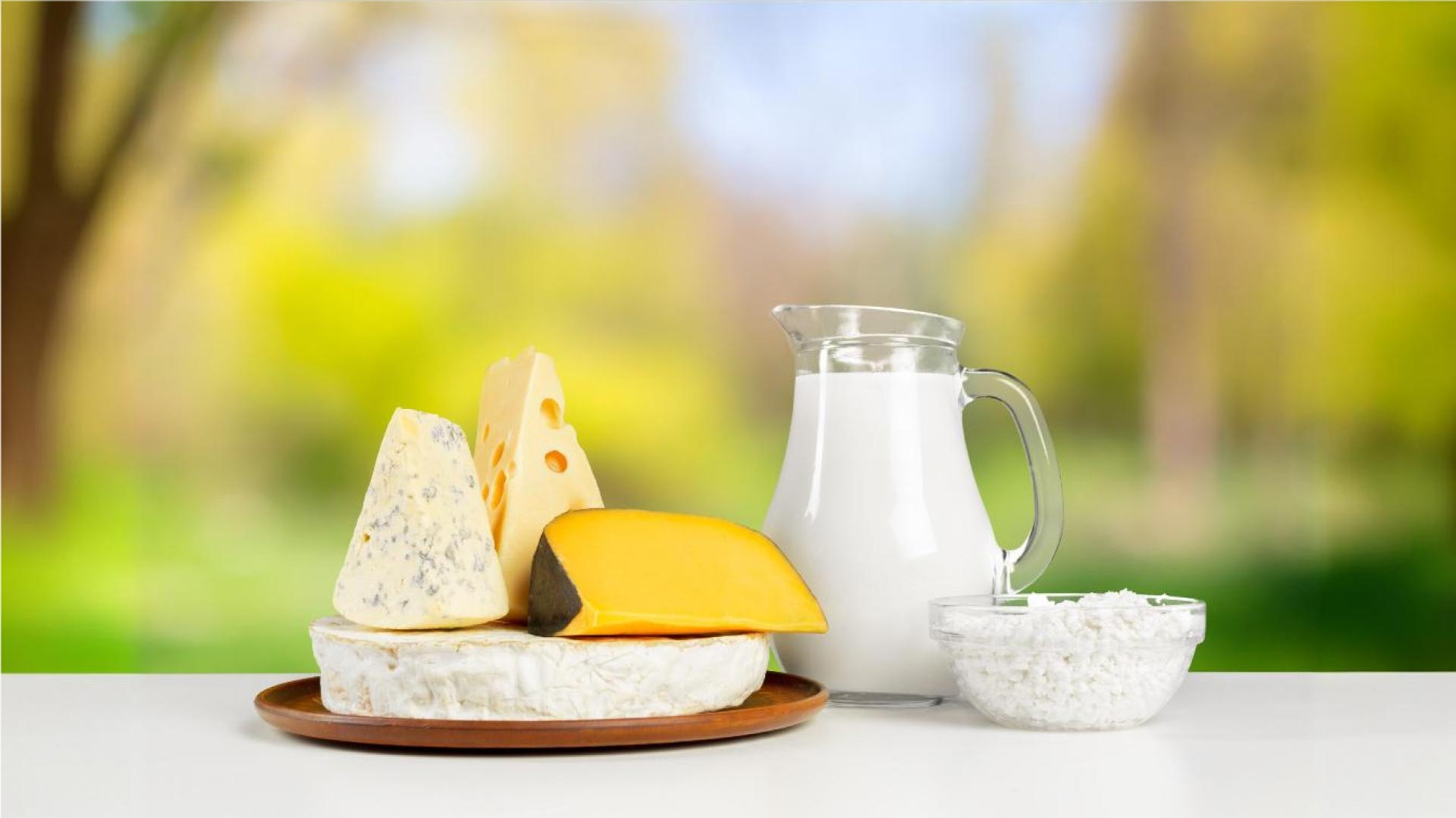 Full-Fat Dairy Products