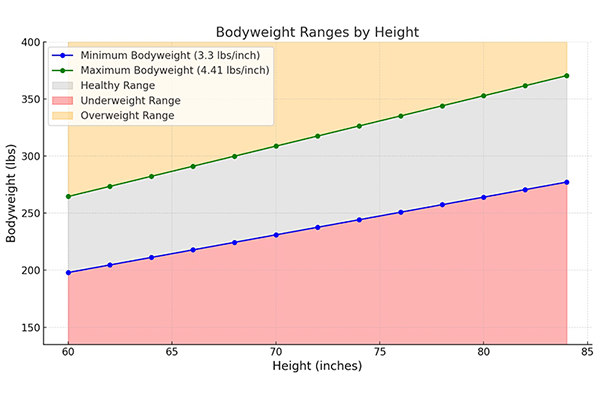 lifter bodyweight vs height chart