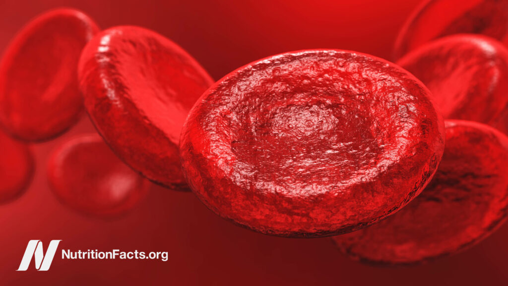 Illustration of red blood cells