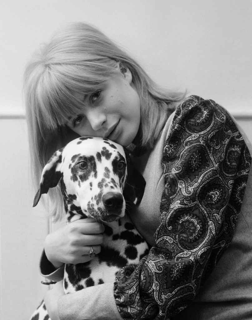 Marianne Faithfull in 1964