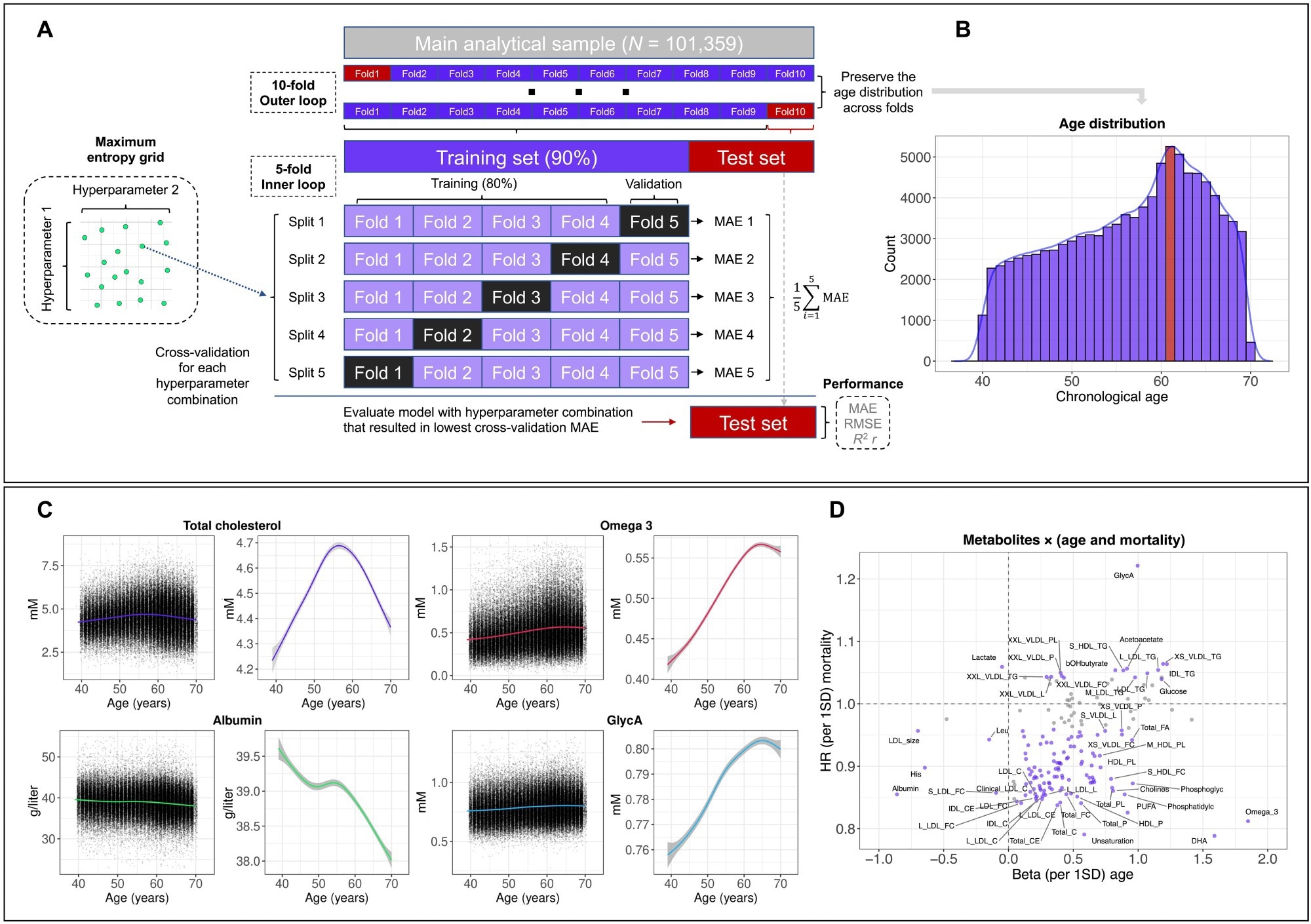 Study design and overview. (A) Overview of the nested cross-validation approach. MAE, mean absolute error; RMSE, root mean square error. (B) Histogram of the chronological age distribution of the analytical sample. The statistical mode (age, 61 years) is shown in red. (C) Distribution of metabolite levels by chronological age, showing scatter plots of all observations and smooth curves (note the difference in the y-axis scale). The smooth curves were estimated using generalized additive models, with shaded areas corresponding to 95% confidence intervals (CIs). GlycA, glycoprotein acetyls. (D) Scatter plot showing the hazard ratio (HR) for all-cause mortality and the beta for chronological age associated with a one SD difference in metabolite levels. Metabolites that had statistically significant associations with both chronological age and all-cause mortality are shown in purple.