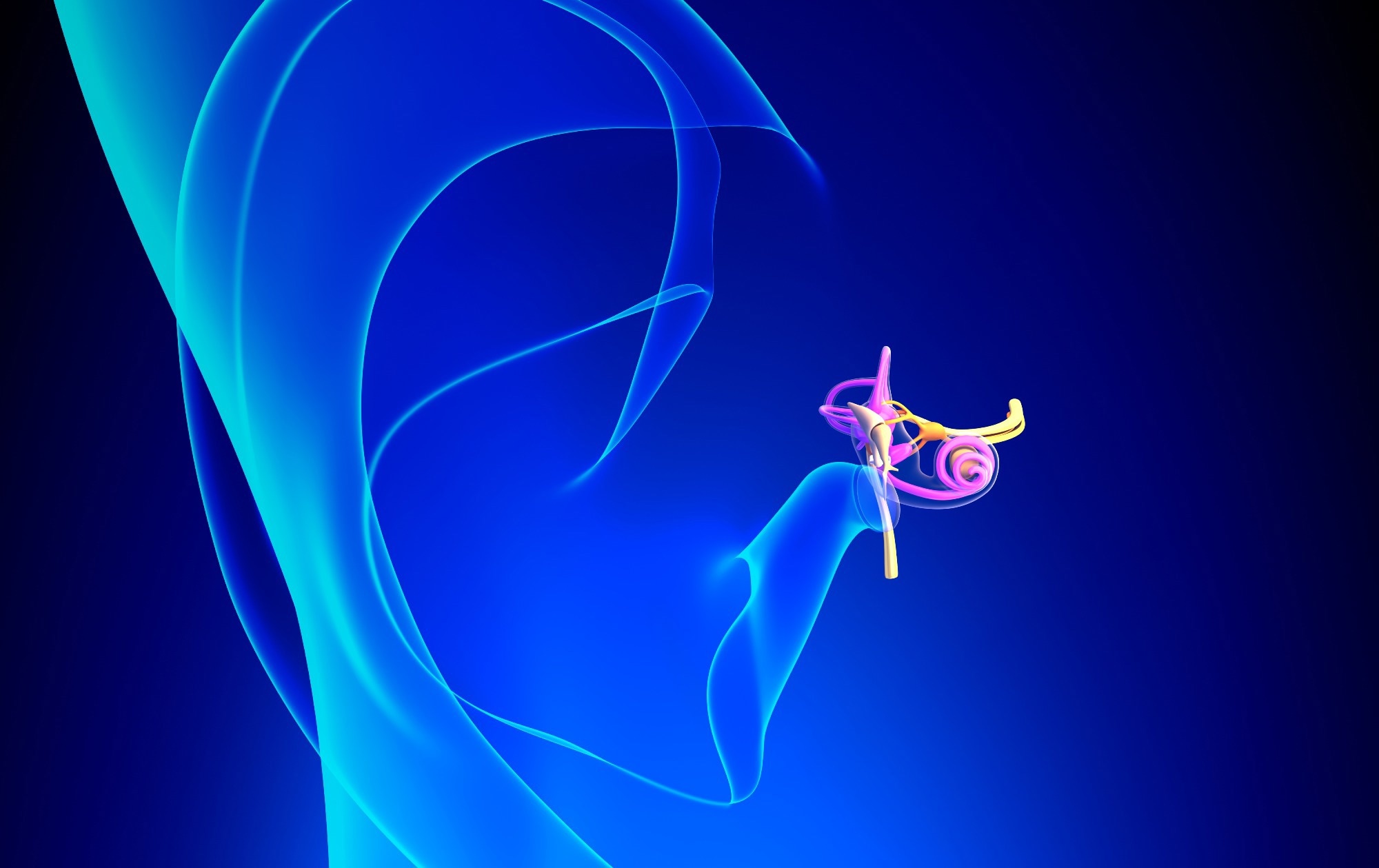 Research: Rehabilitation of human hearing with a totally implantable cochlear implant: a feasibility study. Image Credit: decade3d - anatomy online / Shutterstock