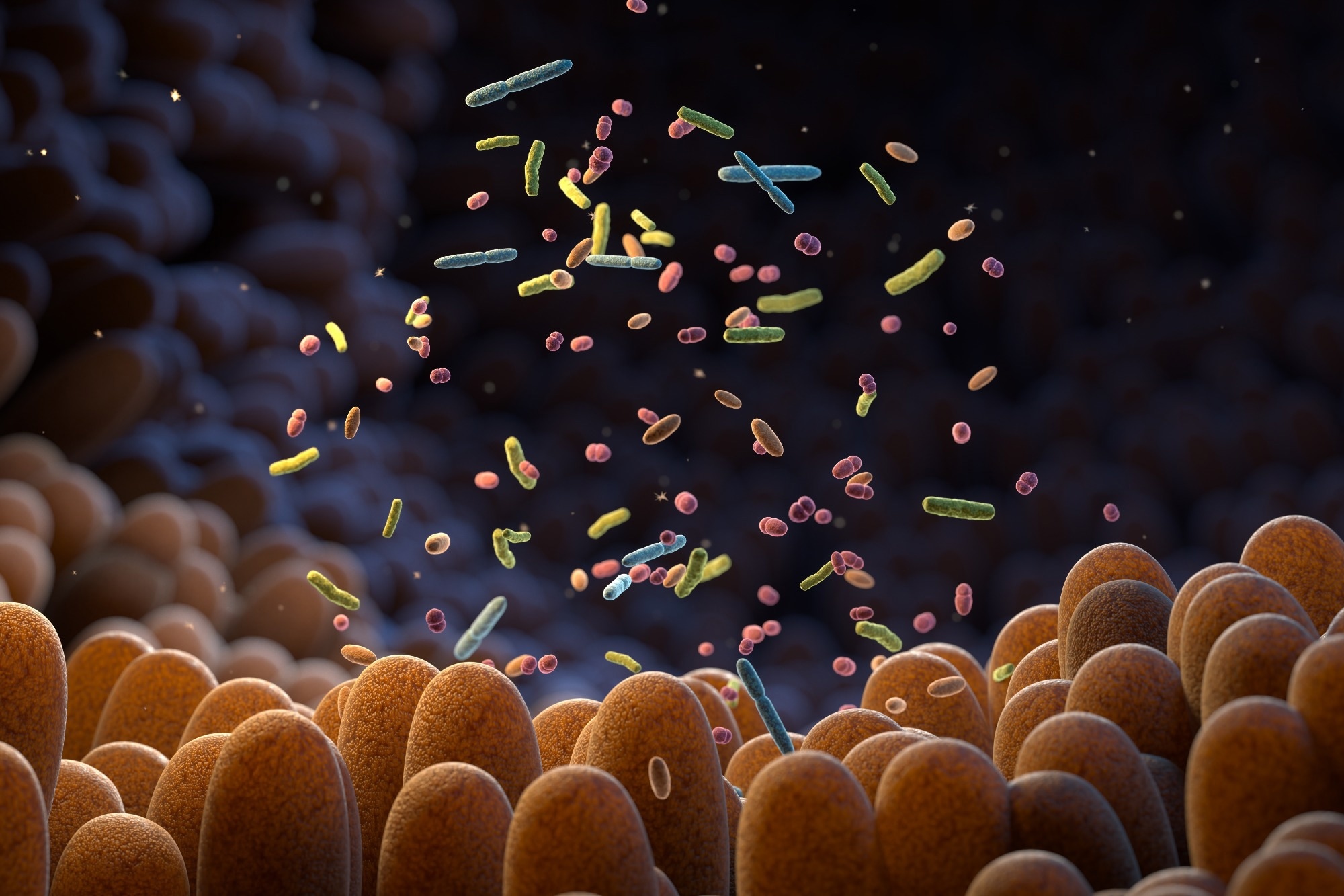 Study: Gut microbial-derived phenylacetylglutamine accelerates host cellular senescence. Image Credit: Tatiana Shepeleva / Shutterstock