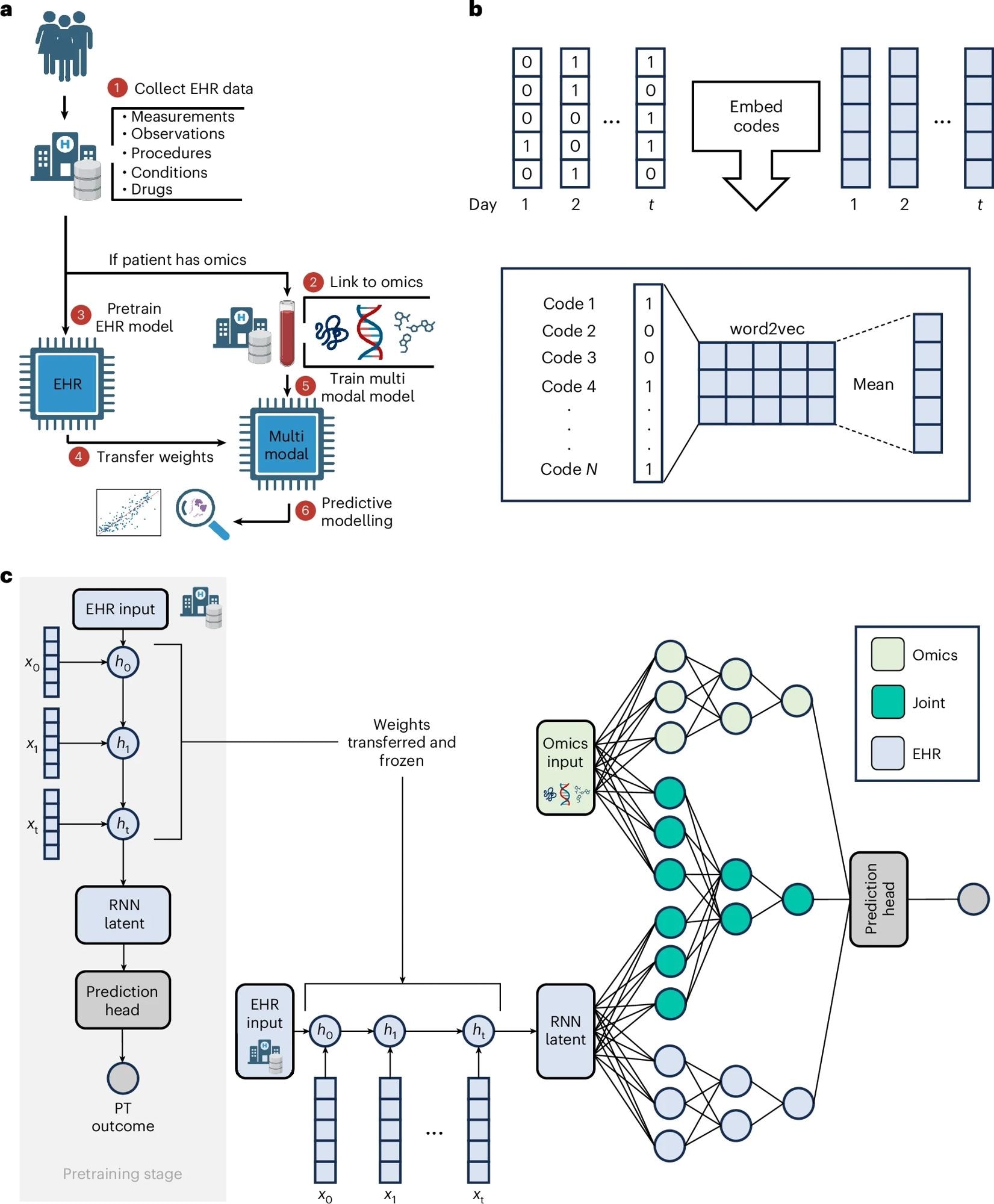 a, The input to COMET is EHR data and (for a subset of patients) paired, tabular omics data. The patients who only have EHR data are used to pretrain (PT) a neural network predict patient outcomes using only EHR data. The weights from this EHR network are transferred to a multimodal neural network used to analyse both EHR and omics data; the neural network is used for predictive modelling and post hoc analysis of the network is used for biological discovery. The COMET framework is flexible and can be used to predict any continuous or binary outcome. b, One-hot encoded vectors of EHR data (shown in white) are converted into embeddings (shown in blue) using word2vec; the embeddings for each code that occur within a particular day are averaged to compute sequential, summary embeddings. c, COMET uses a multimodal deep learning architecture to analyse both EHR data and omics data. Only EHR data are used in the pretraining stage; the core architecture is an RNN with gated recurrent units. After pretraining, the RNN weights are frozen and transferred into a multimodal architecture that analyses both EHR and omics data.