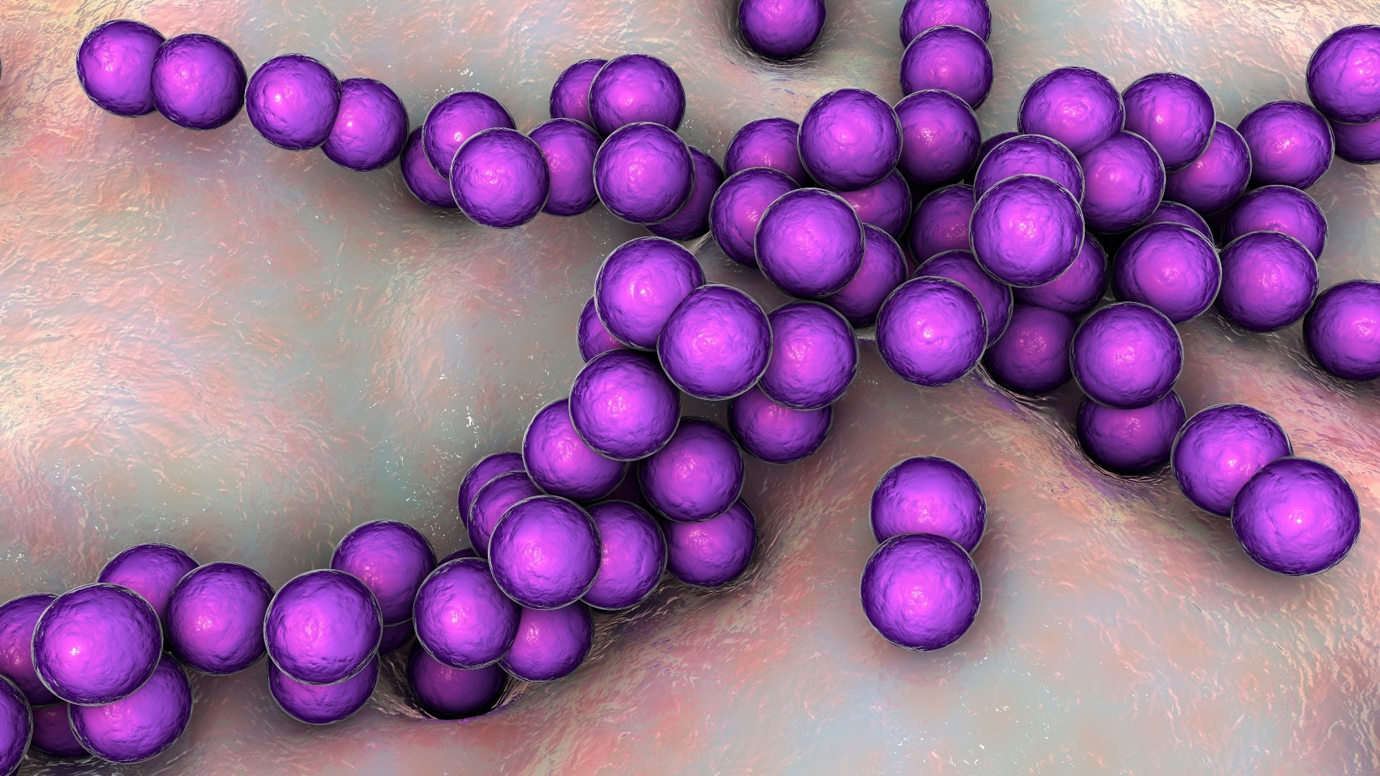 Study: Sucrose-preferring gut microbes prevent host obesity by producing exopolysaccharides. Image Credit: Kateryna Kon / Shutterstock