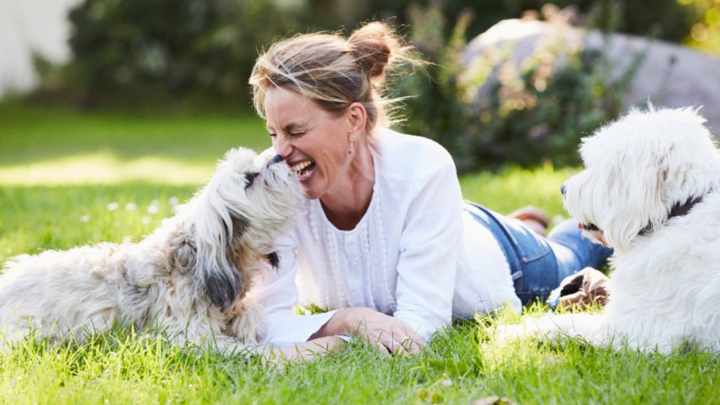 woman lying down the grass happily playing with her two dogs