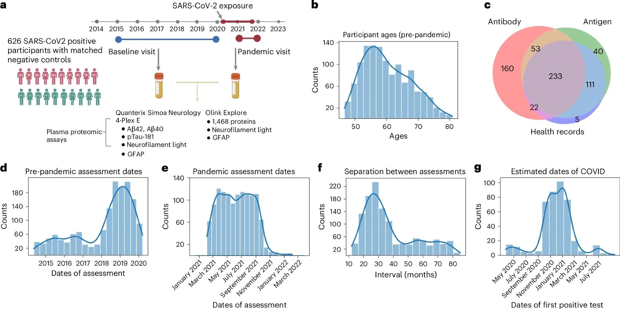 a, Experimental design. Protein concentrations were assayed from plasma samples acquired from the UK Biobank imaging assessment visits, the second of which was specifically recruited for the study of COVID-19. b, Distribution of participant ages at the pandemic assessment. c, Sources of evidence for case selection. Antibody, home-based lateral-flow SARS-CoV-2 antibody test; Antigen, PCR antigen (swab) test; Health records, GP and/or hospital records. d, Distribution of pre-pandemic assessment visit dates. e, Distribution of pandemic assessment visit dates. f, Distribution of intervals between assessments. g, Estimated dates of COVID symptoms (from participants with antigen test results). Figure created with BioRender.com.